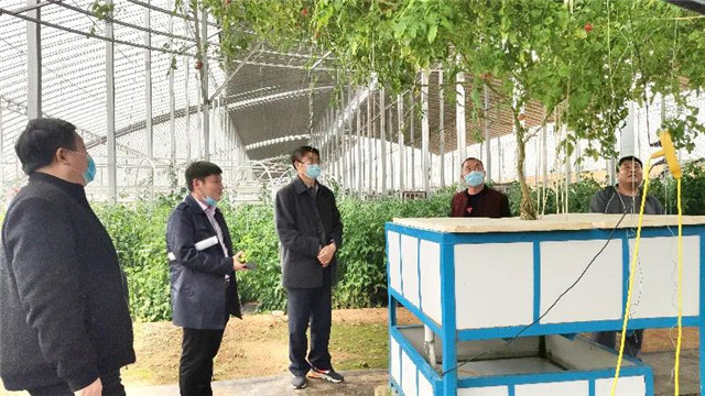 蹚出民企參與脫貧攻堅新路徑：市第四專項督查組，到萬家園成園農業基地指導扶貧工作