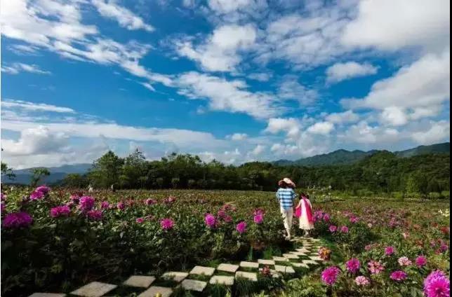 中共中央國務院：16萬億大健康產業，康養產業將迎來的發展契機