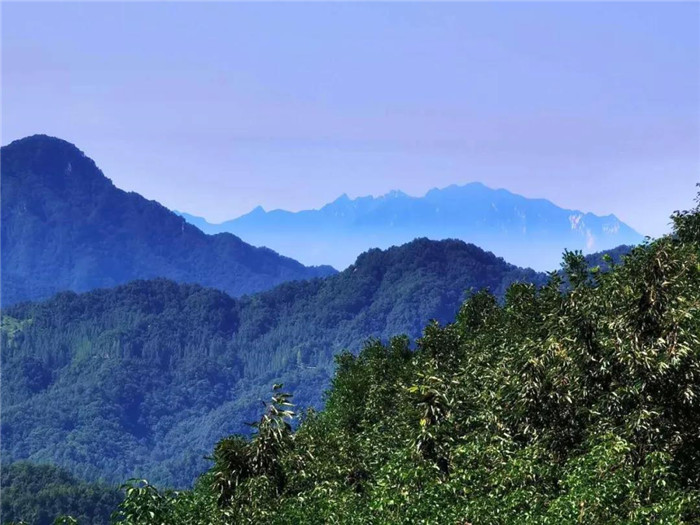 河南萬(wàn)家園集團(tuán)重點(diǎn)工程巡禮一一“氧”在猿人山（之四）