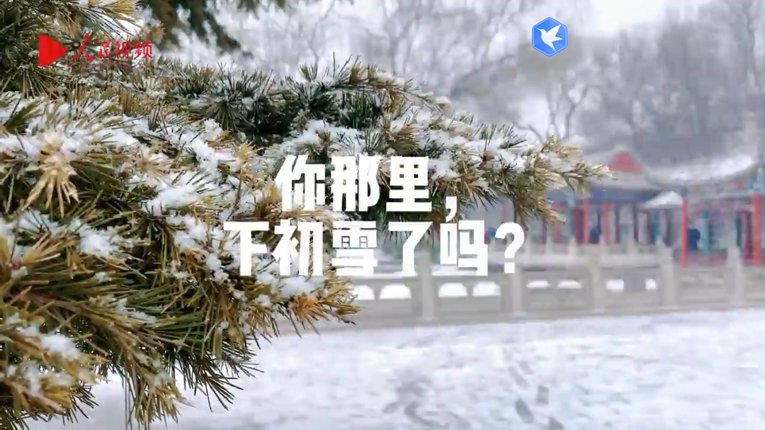 今日立冬：北風潛入悄無聲，未品濃秋已立冬