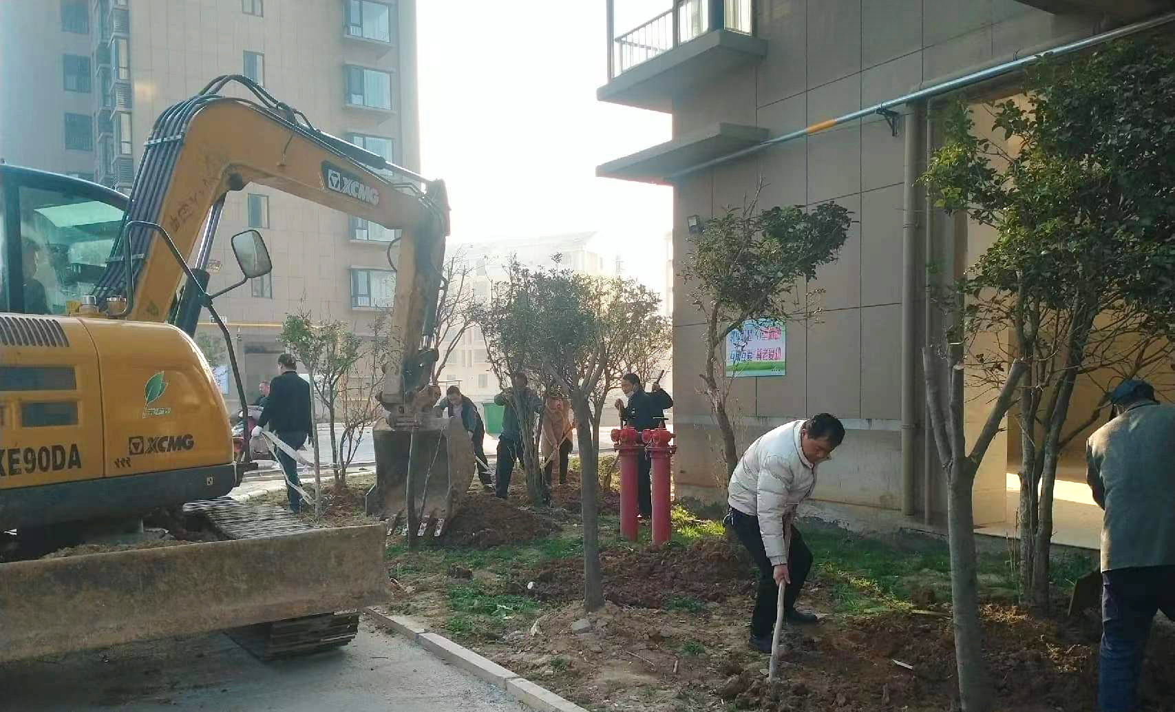 萬家物業 | 植樹增綠共建綠色家園